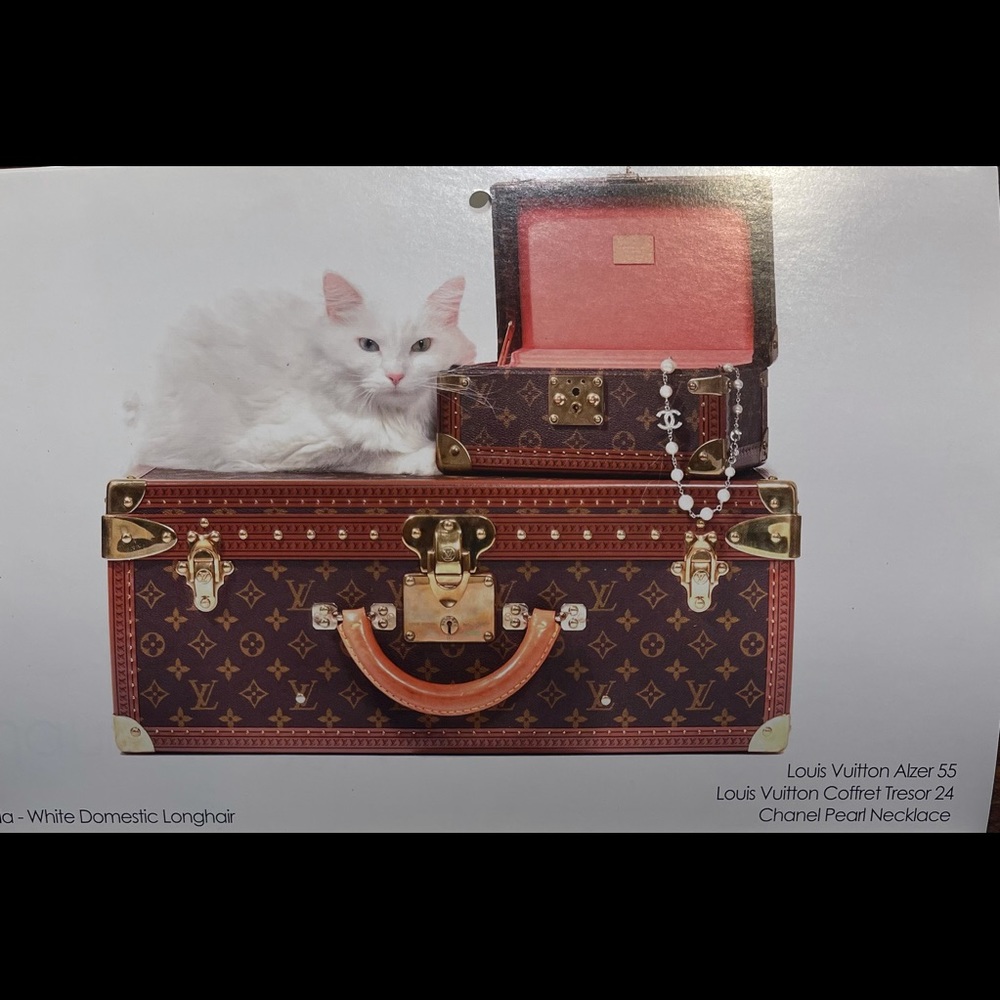 Designer Bag Calendar Louis Vuitton Chanel Fendi +